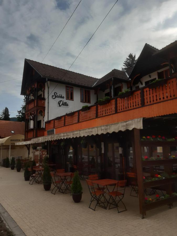 Vila Szoke Sovata Exteriér fotografie